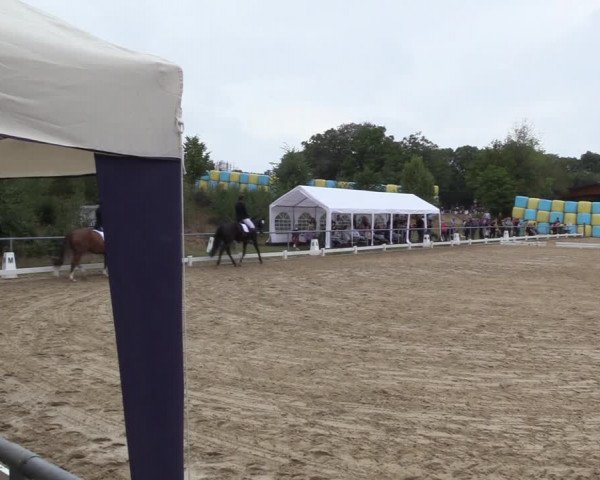 Reitturnier Bühren-Breckerfeld 2022