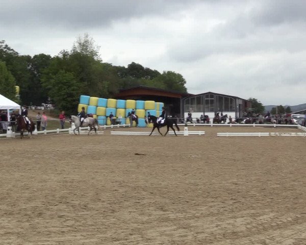 Reitturnier Bühren-Breckerfeld 2022