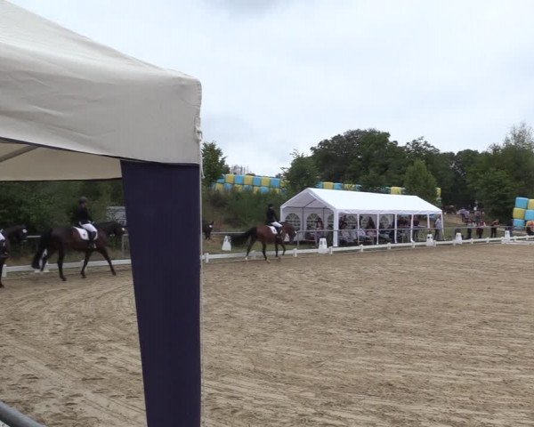 Reitturnier Bühren-Breckerfeld 2022