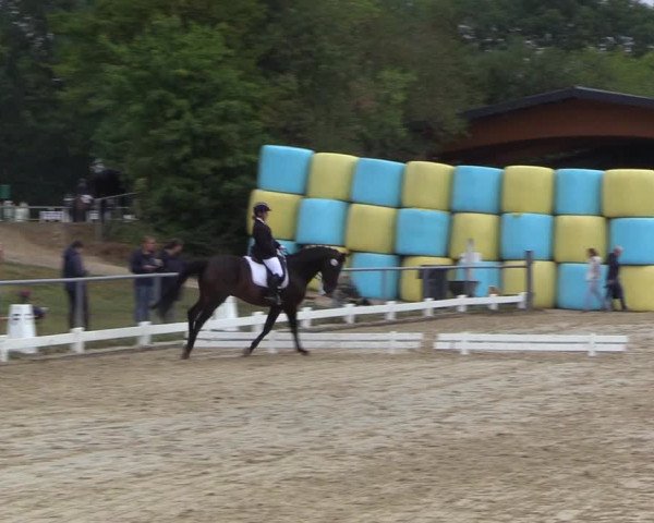 Reitturnier Bühren-Breckerfeld 2022
