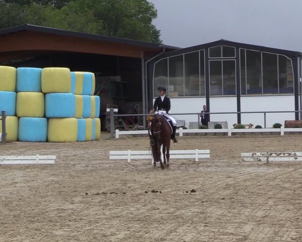 Reitturnier Bühren-Breckerfeld 2022