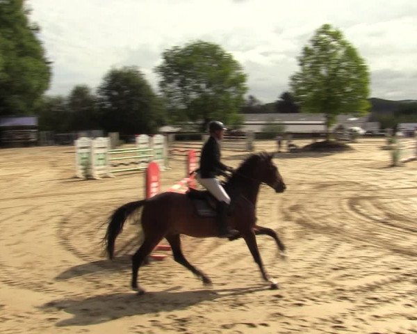 Reitturnier Bühren-Breckerfeld 2022