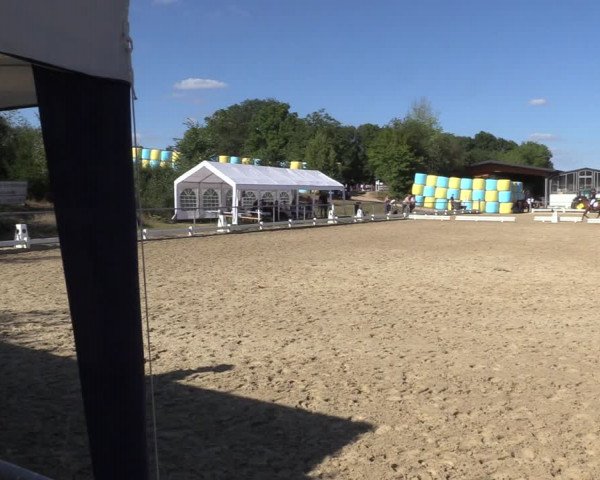 Reitturnier Bühren-Breckerfeld 2022