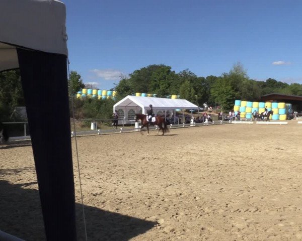 Reitturnier Bühren-Breckerfeld 2022