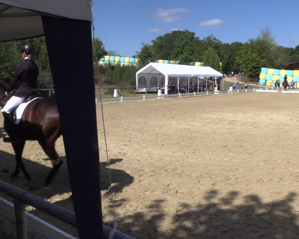 Reitturnier Bühren-Breckerfeld 2022
