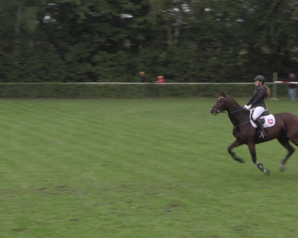 Reitturnier Westeregeln 2021
