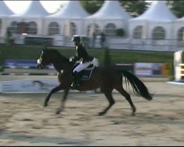 jumper Lacostina 2 (Hessian Warmblood, 2004, from Lancado)