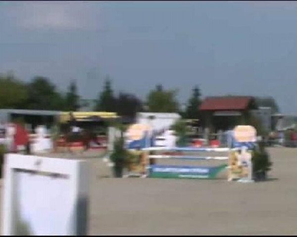 broodmare Faenza 6 (Hanoverian, 2005, from For Edition)