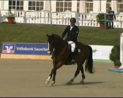 jumper Lightning Mc Queen R (Oldenburg show jumper, 2006, from Lissabon 29)