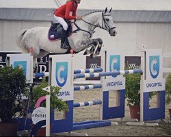 jumper Davina M (KWPN (Royal Dutch Sporthorse), 2008, from Clinton H)