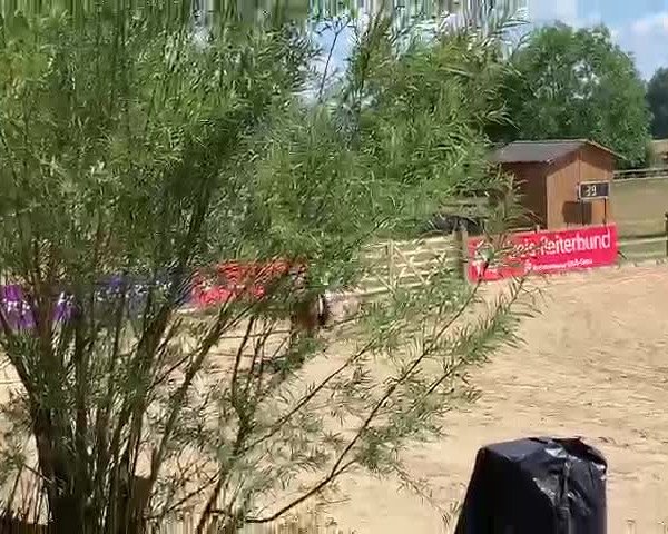 Video von Sakura
