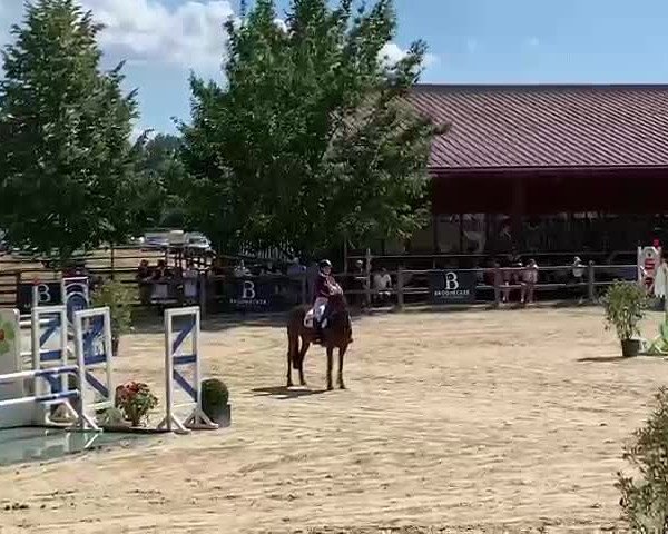Video von Sakura