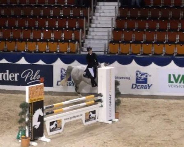 jumper Scobidoo (Hanoverian, 2002, from Slibovitz)