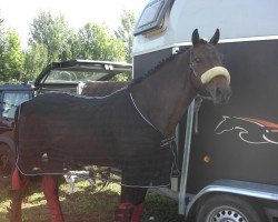 dressage horse Little Dream (Oldenburg, 1997, from Landor S)