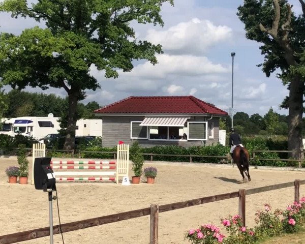 Video of Castell 23