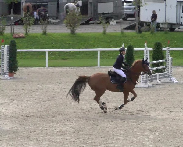 Reitturnier Bülach 2022
