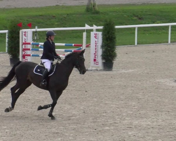 Reitturnier Bülach 2022