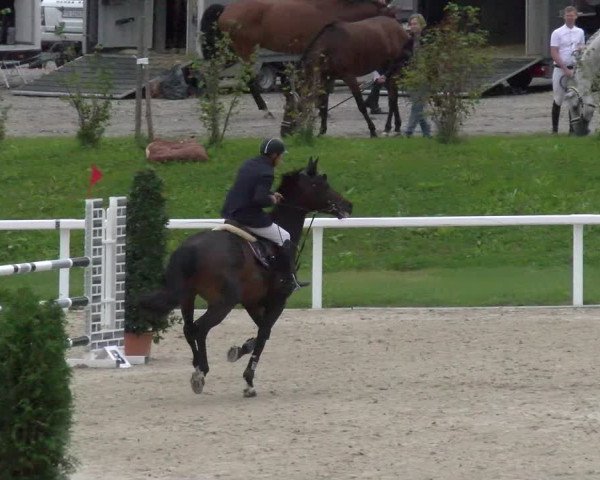 Reitturnier Bülach 2022