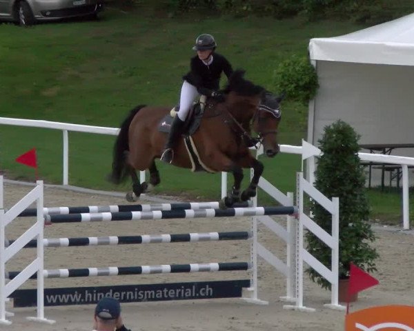 Reitturnier Bülach 2022