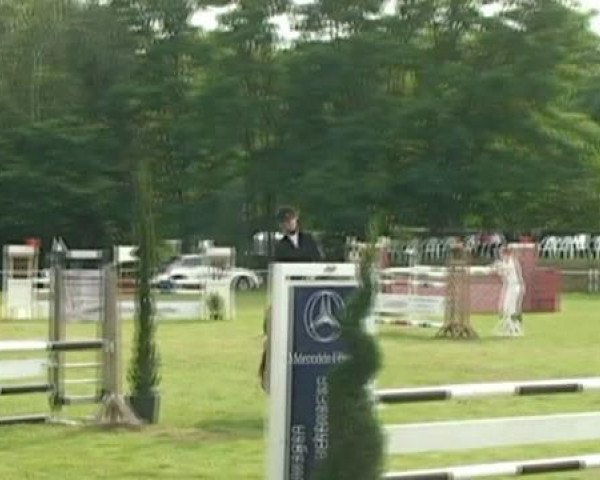 dressage horse Daylight 164 (unknown, 2002)