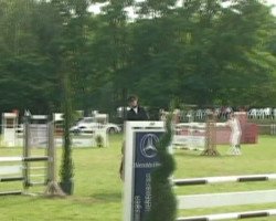 dressage horse Daylight 164 (unknown, 2002)