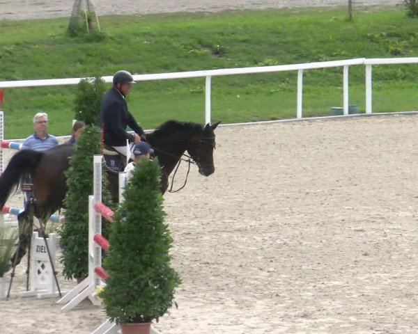 Reitturnier Bülach 2022