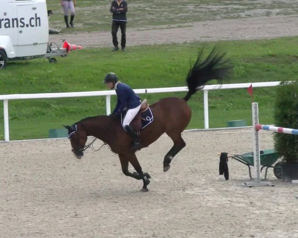 Reitturnier Bülach 2022