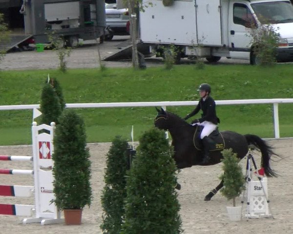 Reitturnier Bülach 2022