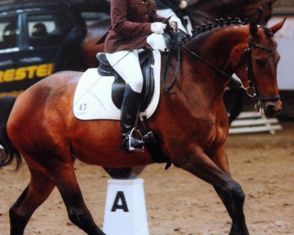 dressage horse Fairytopia 3 (Westphalian, 2007, from Flovino)