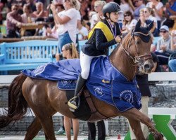 jumper Elis (Czech Warmblood, 2007, from 472 Przedswit XVI-64)