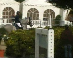 jumper Cupitella (Sella Italiano, 2006, from Copito)