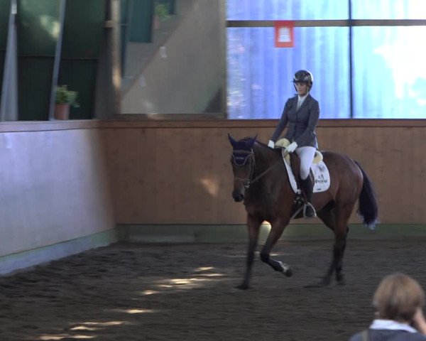Reitturnier Hamburg-Bergstedt 2022