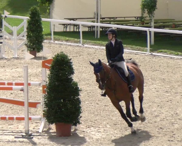 Reitturnier Bülach 2022