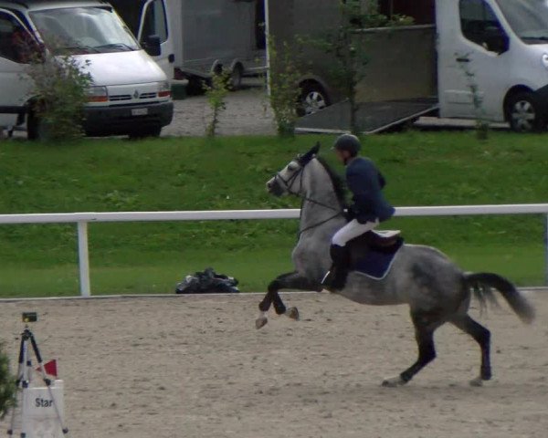 Reitturnier Bülach 2022