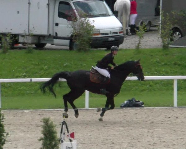 Reitturnier Bülach 2022
