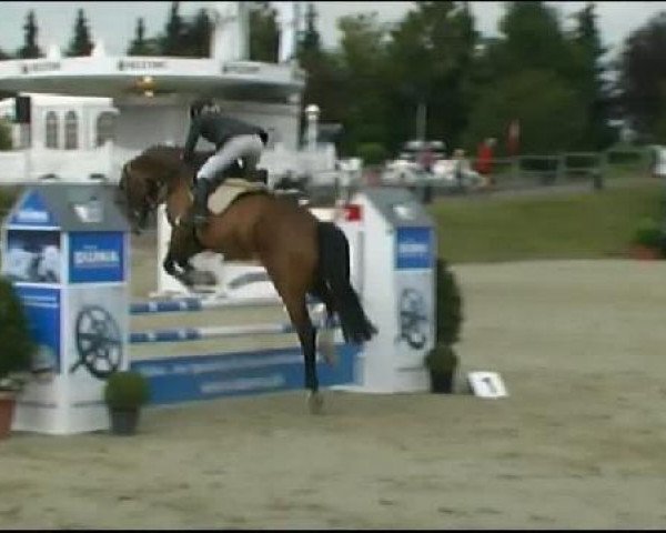 jumper Kabumm (Westphalian, 2005, from Kulmann)
