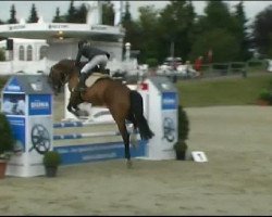 Springpferd Kabumm (Westfale, 2005, von Kulmann)