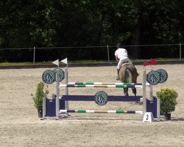 Reitturnier Maienfeld 2022
