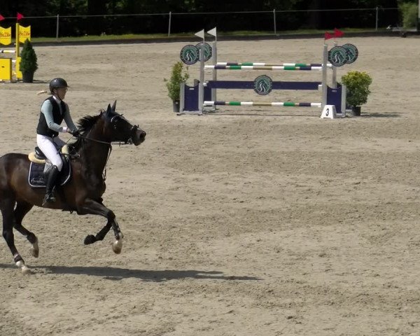 Reitturnier Maienfeld 2022