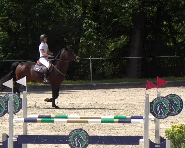 Reitturnier Maienfeld 2022