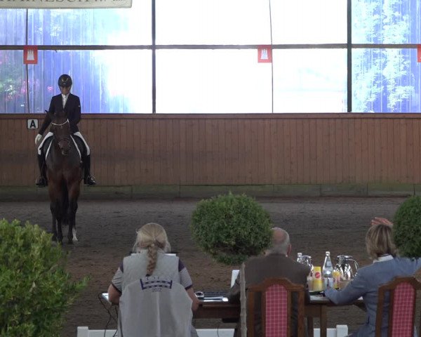 Reitturnier Hamburg-Bergstedt 2022