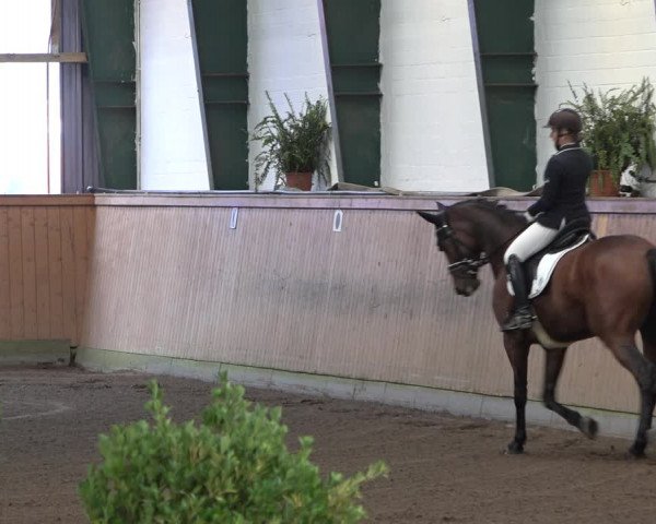 Reitturnier Hamburg-Bergstedt 2022