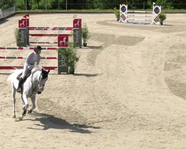 Reitturnier Maienfeld 2022