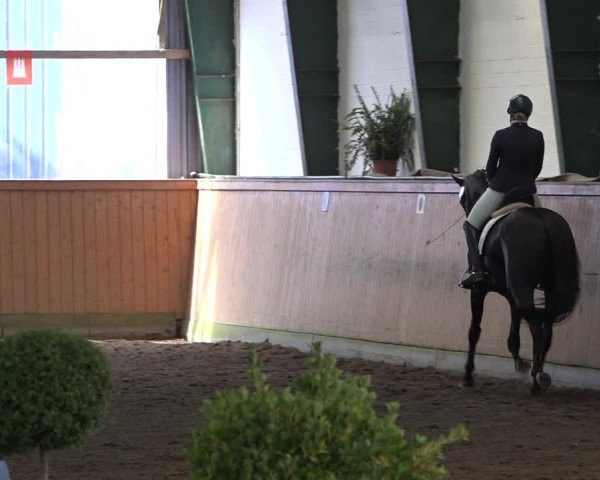 Reitturnier Hamburg-Bergstedt 2022
