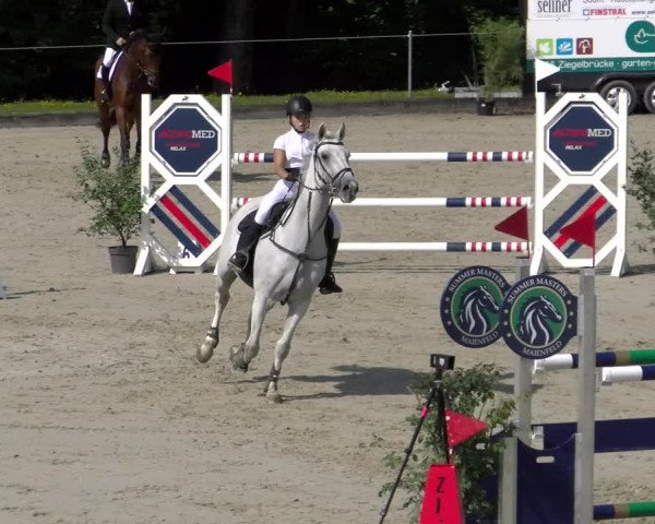 Reitturnier Maienfeld 2022