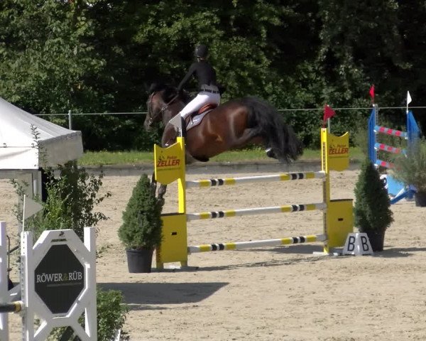 Reitturnier Maienfeld 2022