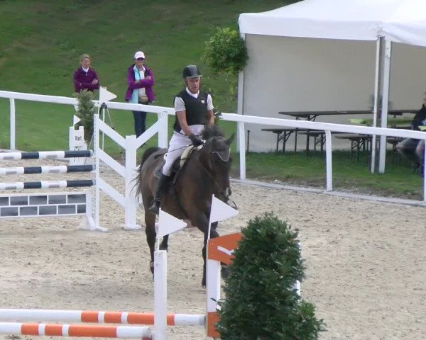Reitturnier Bülach 2022