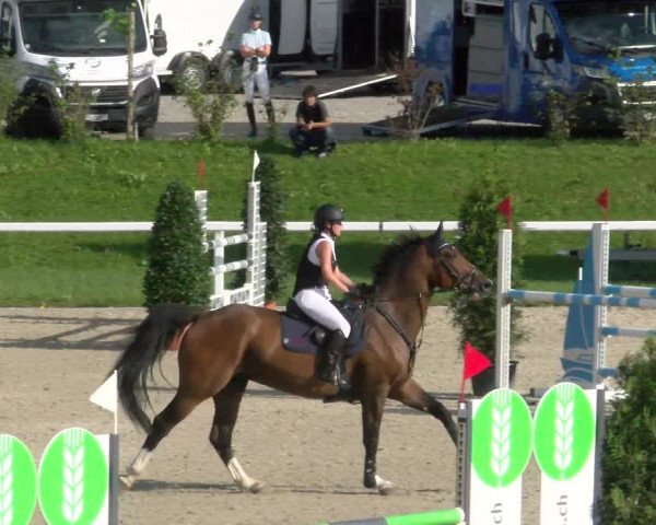 Reitturnier Bülach 2022