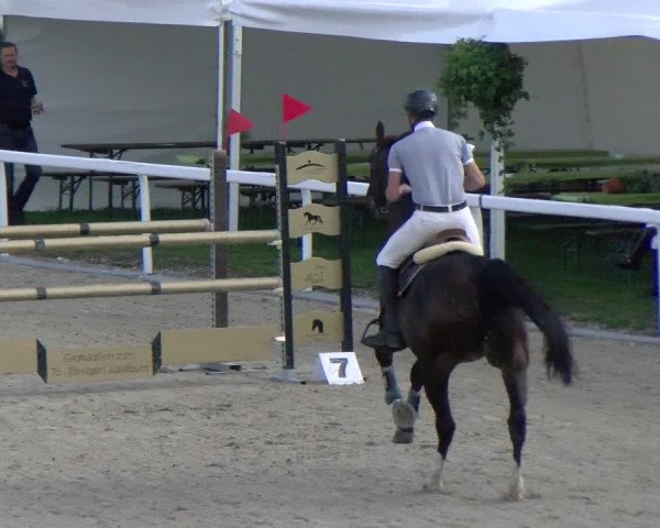 Reitturnier Bülach 2022