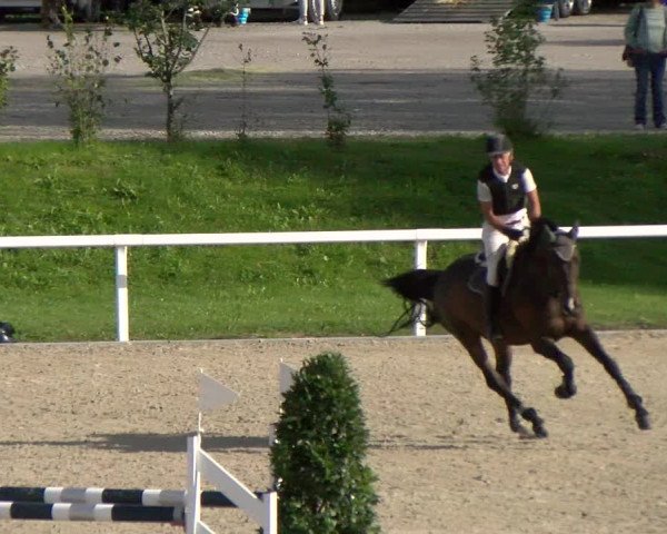 Reitturnier Bülach 2022